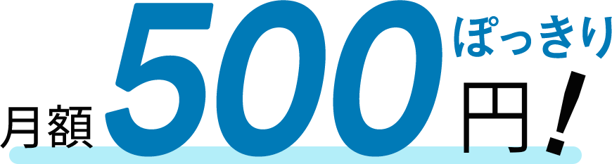 500円ぽっきり